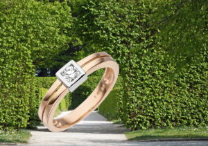 Ein Labyrinth der Ringe