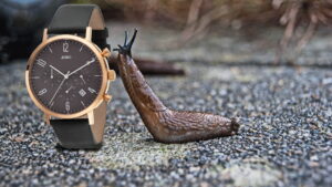 Seien Sie keine Schnecke