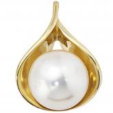Anhänger 14k (585) Gelbgold mit Süßwasser-Zuchtperle Muschel | JOBO