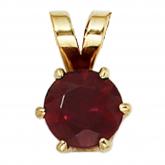 Anhänger 14k (585) Gelbgold und Granat | Edelsteine