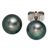 Ohrstecker 925 Sterling Silber mit 2 dunklen Süßwasser-Zuchtperlen 7-7,5 mm | Silberschmuck