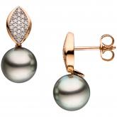 Ohrstecker 585 Rotgold Brillanten 0,13 ct. und 2 Tahiti-Zuchtperlen dunkel | Rosé- und Rotgoldschmuck